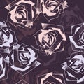 Graphic flowers rose for printed and design. Royalty Free Stock Photo